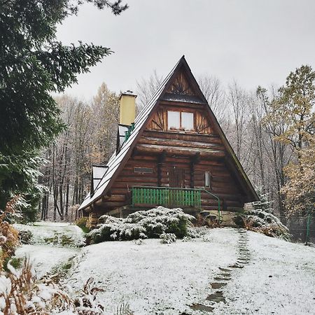 Kosarzówka Vila Bielsko-Biala Exterior foto