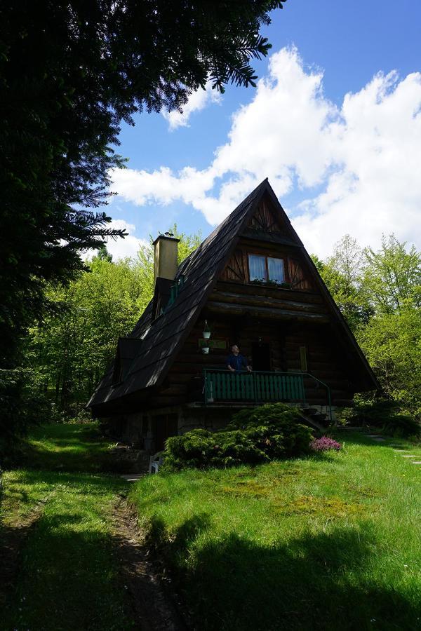 Kosarzówka Vila Bielsko-Biala Exterior foto