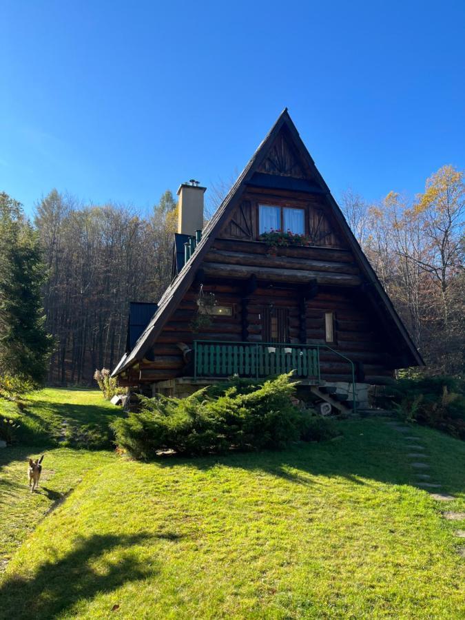 Kosarzówka Vila Bielsko-Biala Exterior foto
